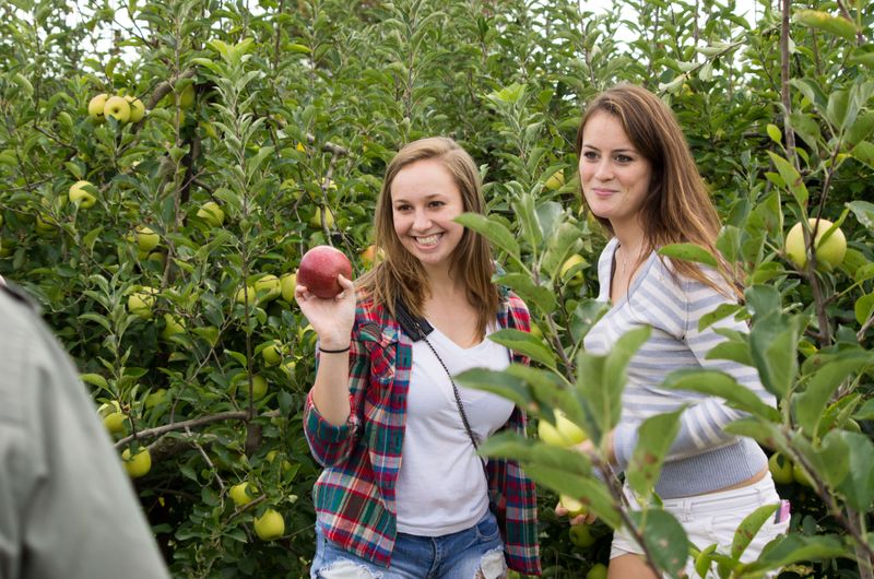 Milburn Orchards — Elkton, MD (Just Past Newark, DE)