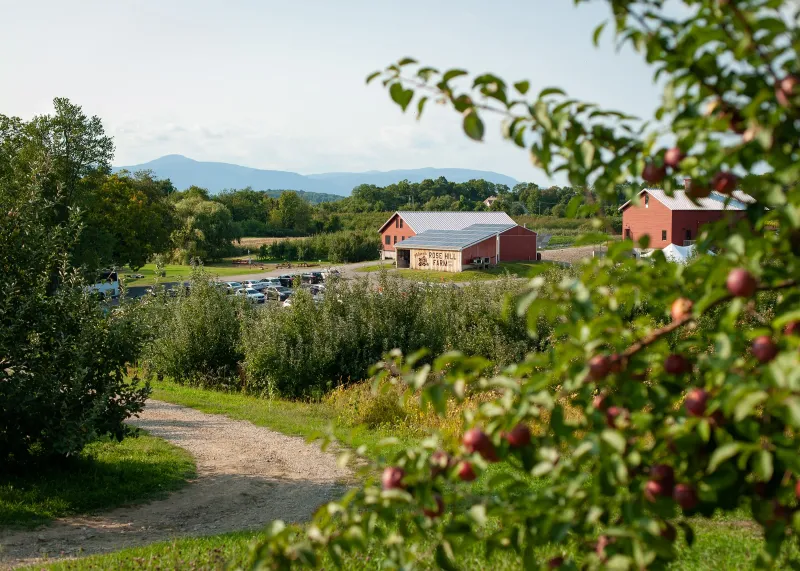 Rose Hill Farm — Red Hook (Dutchess)