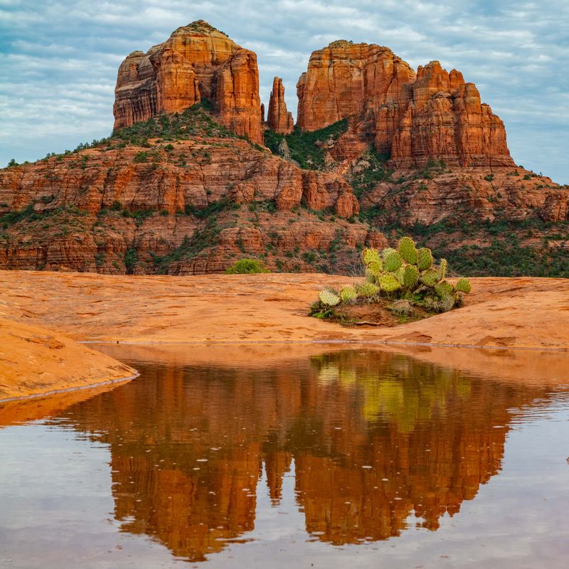 Sedona’s Aesthetic Laws