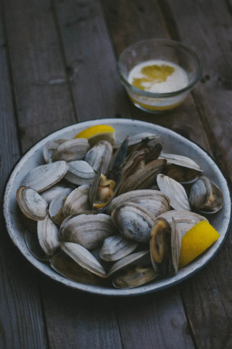 Steamers