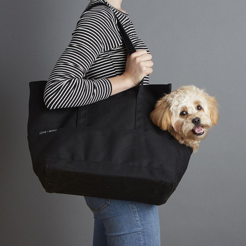Love Thy Beast Nylon Travel Carrier – Fashion Meets Function