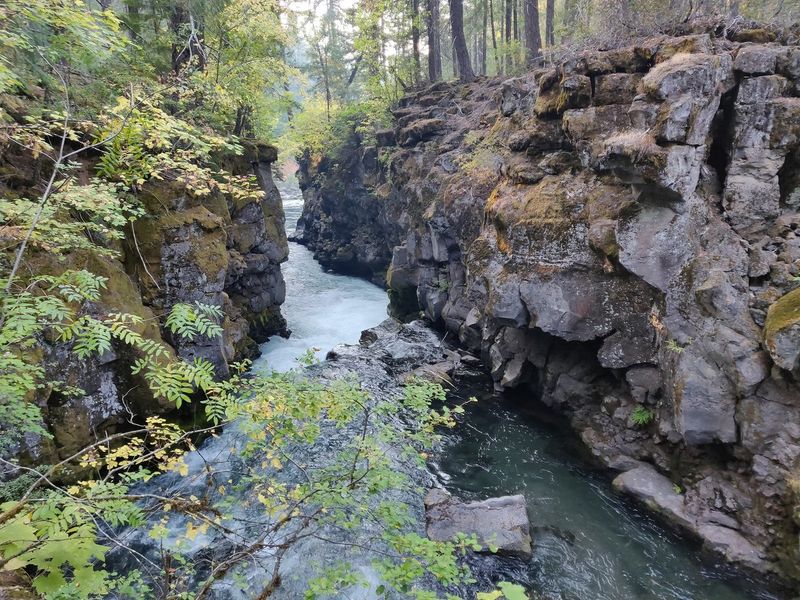 Visitor's Guide to the Vanishing River
