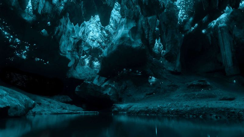 The Glow Worm Caves (QLD & NSW)