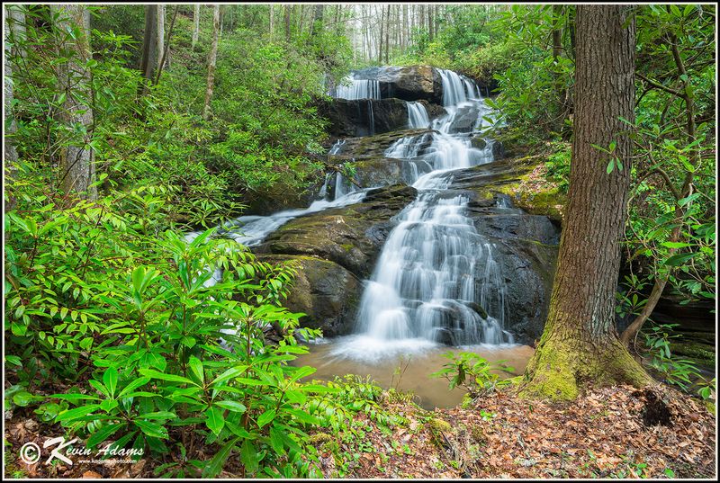 Upper Bearwallow Falls