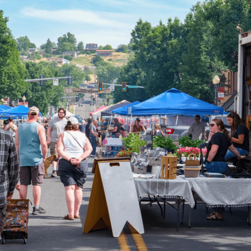Community & Cultural Spirit