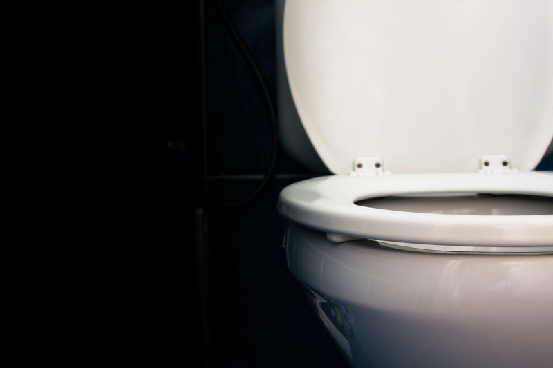Most Diseases Don't Spread Through Toilet Seats