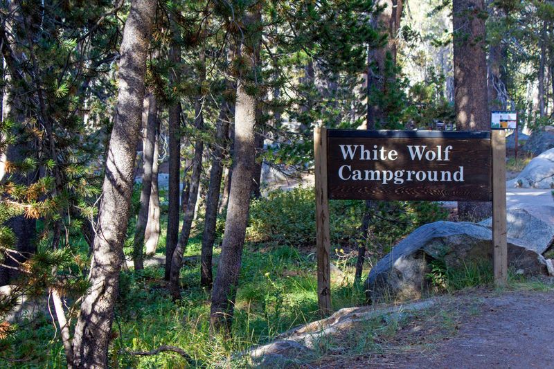 White Wolf and Tuolumne Meadows Campgrounds (Yosemite)