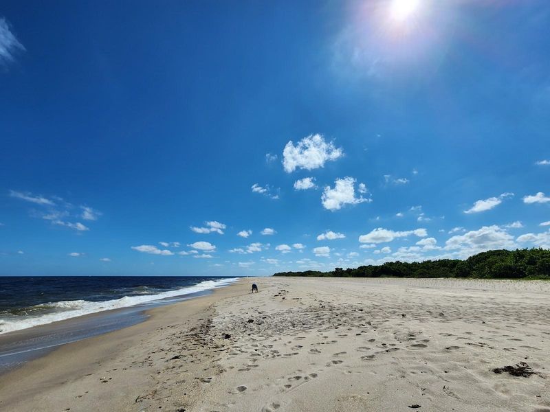 A Pristine Beach Awaits on the Other Side