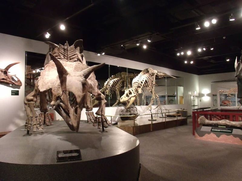Arizona Museum of Natural History (Mesa)