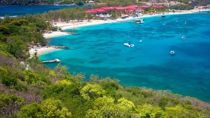 🐢 Roatán, Honduras