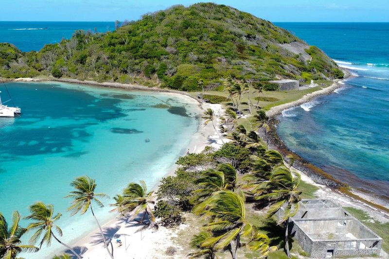 🐠 The Grenadines (St. Vincent & Grenadines)