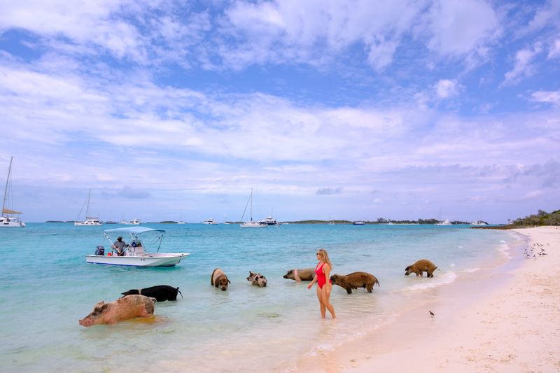 🏝️ The Exumas, Bahamas