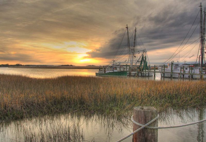 Fresh-Caught Shrimp Are Minutes from the Plate