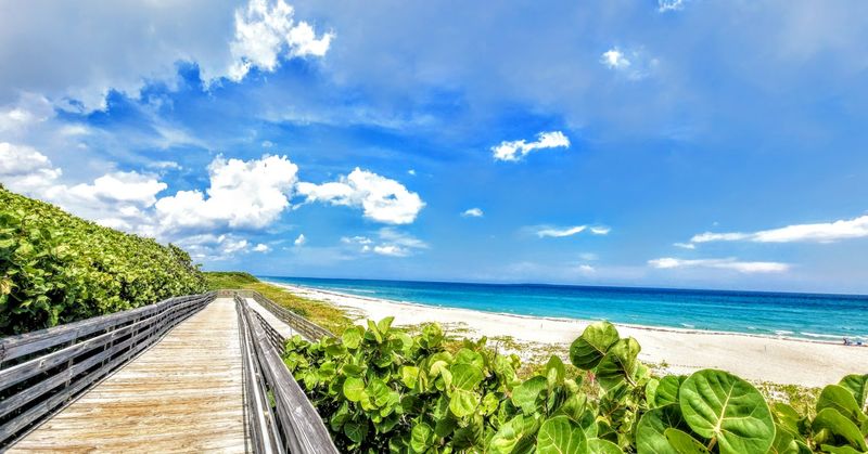 John D. MacArthur Beach State Park (North Palm Beach)