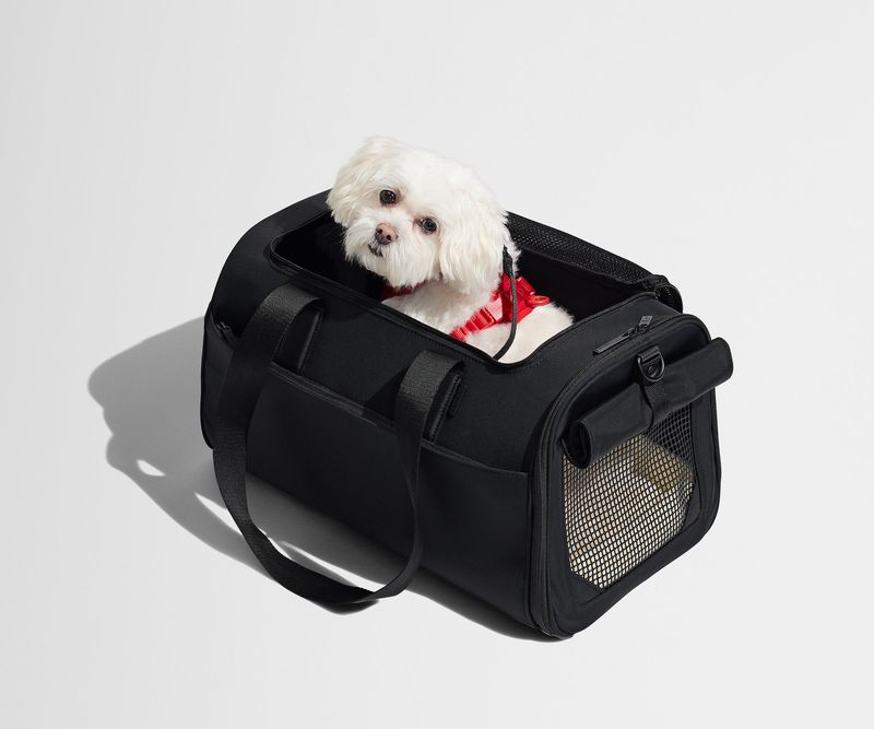 Away “The Pet Carrier”