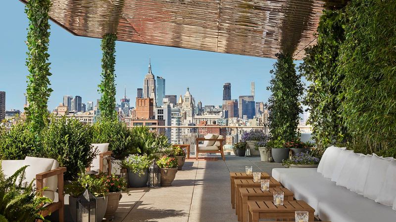 Hidden Rooftop Cafés