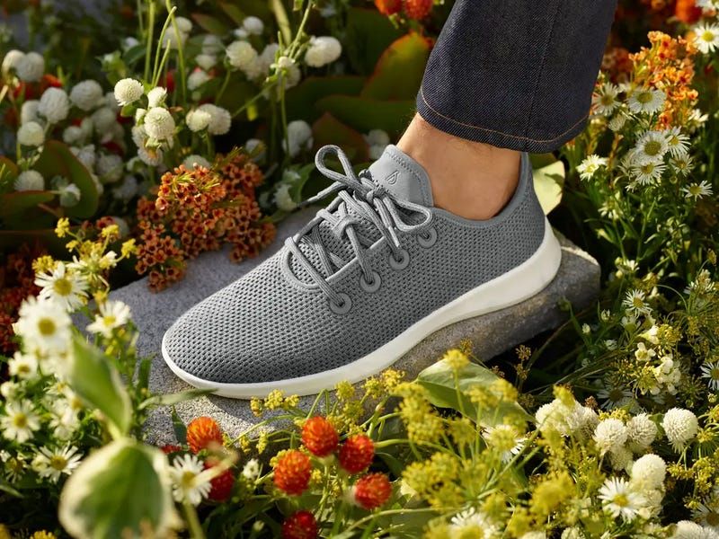Allbirds Tree Runners - The Eco-Friendly Cloud Walker