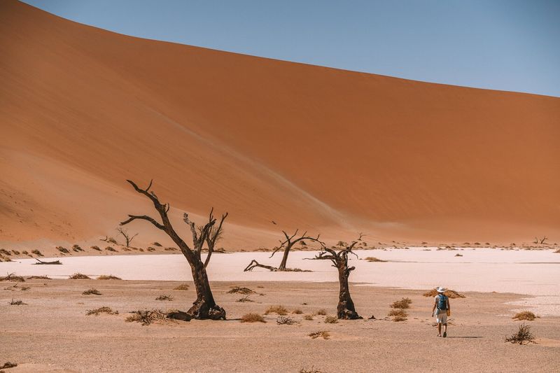 Desert Survival Adventures in Oman and Namibia