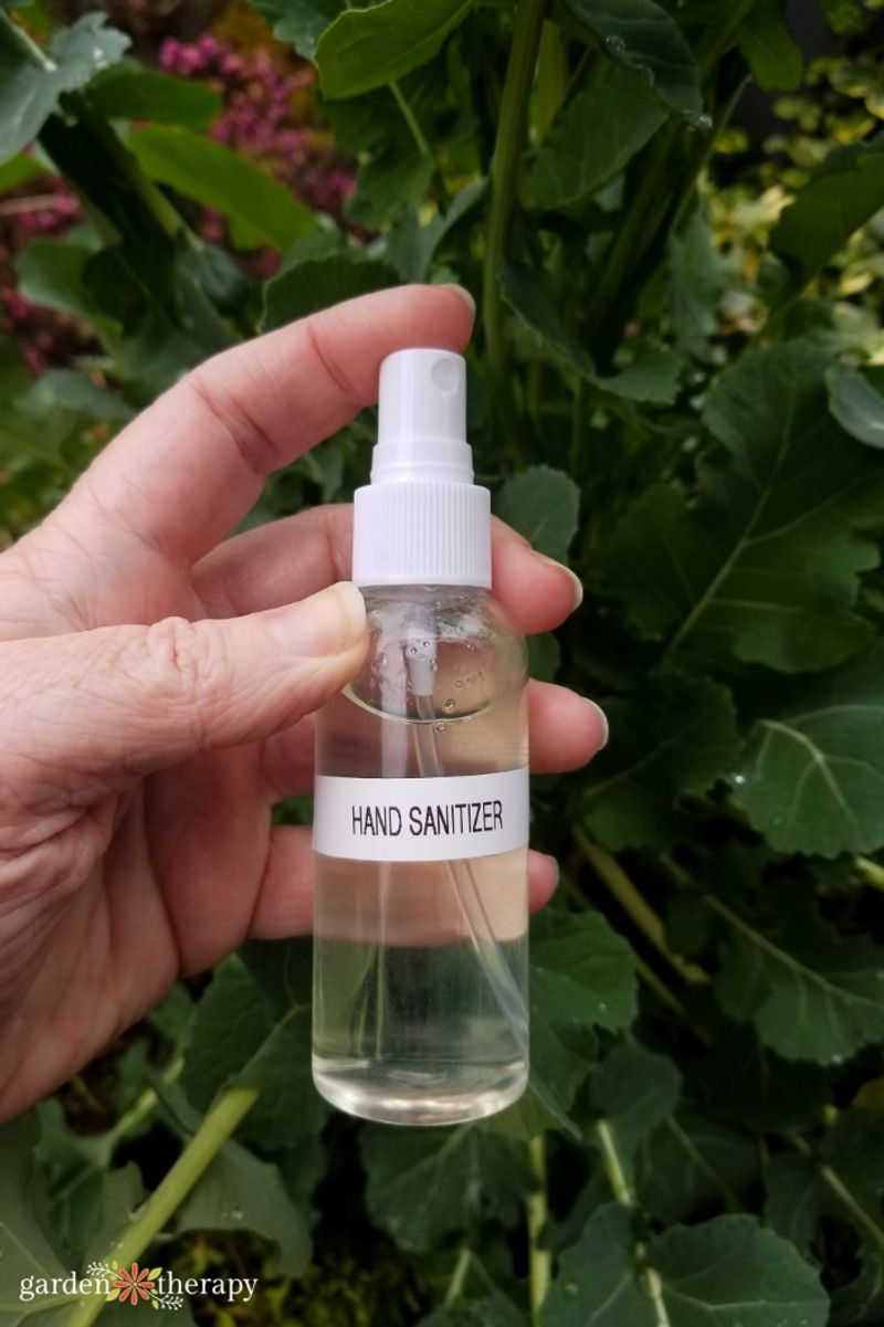 Carry Hand Sanitizer