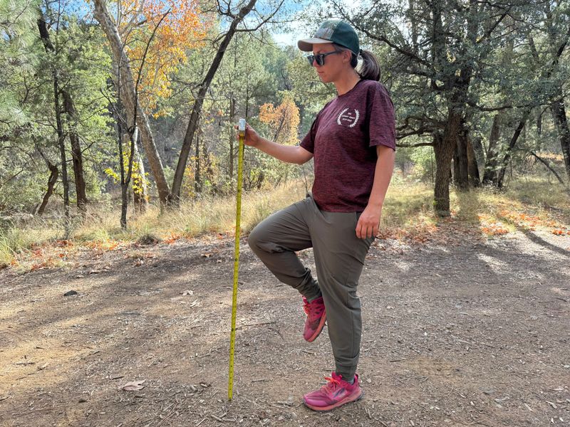 Patagonia Happy Hike Studio Pants (Women)