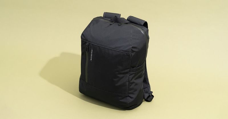 Foldable Tote or Packable Daypack
