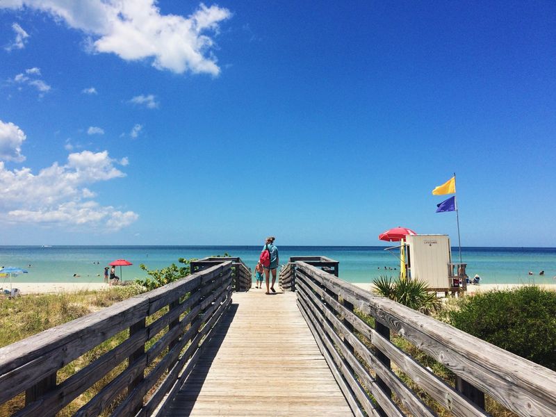 Honeymoon Island State Park (Dunedin)