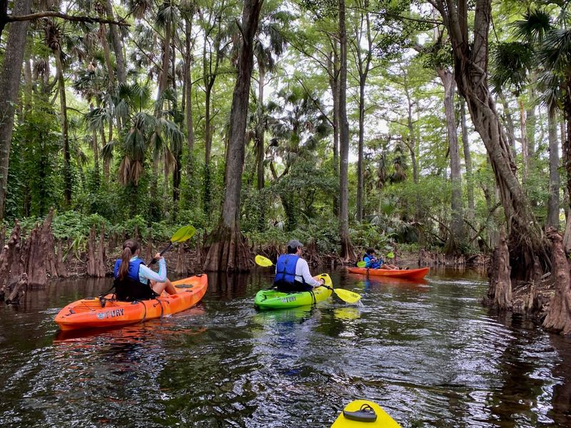 Paddle the Wild & Scenic Loxahatchee River