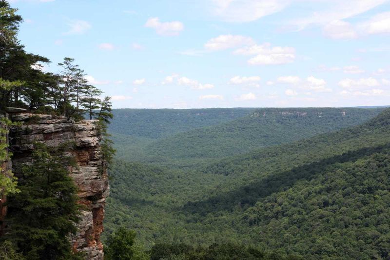 Explore the Vast South Cumberland State Park
