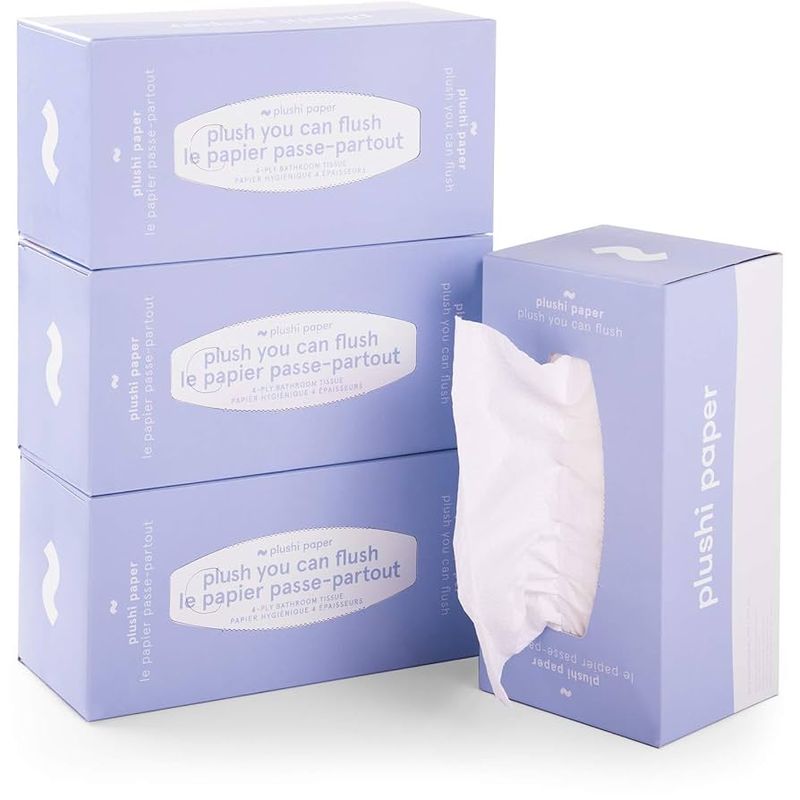 Always Bring Toilet Paper