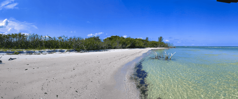 Shell Key Preserve (St. Pete/Tierra Verde, Florida)