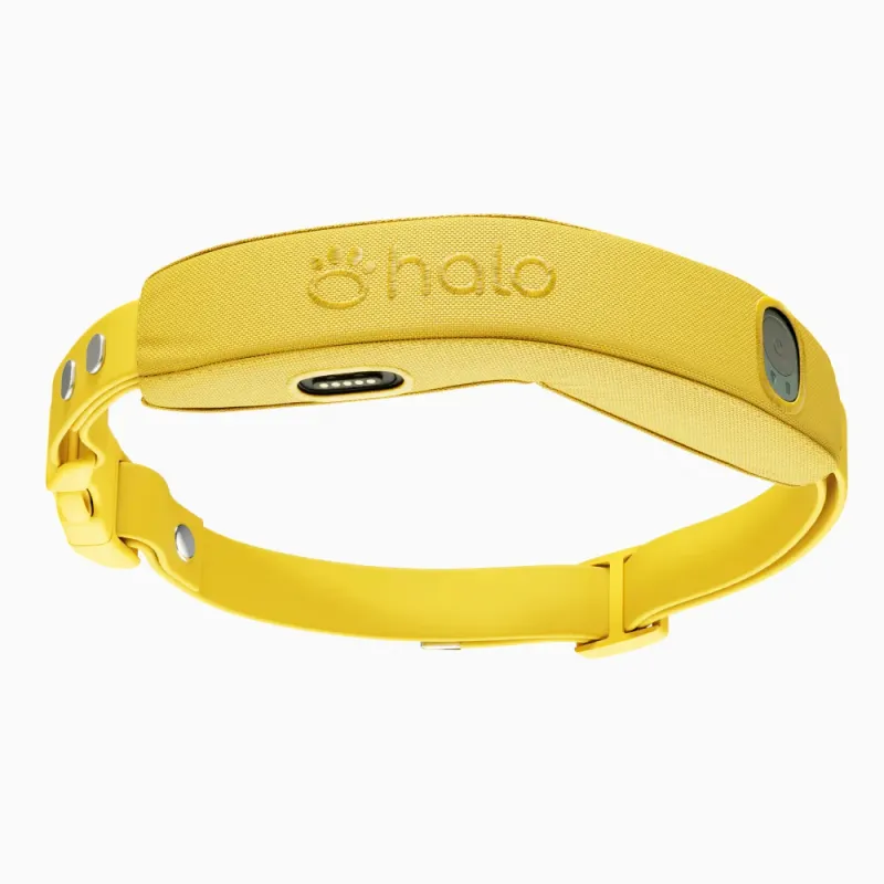 Halo Collar 4 Wireless GPS Fence