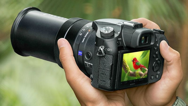 Canon PowerShot SX80 HS: Zoom Master