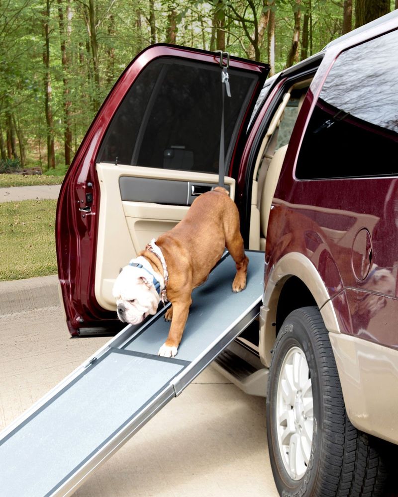 PetSafe Happy Ride Telescoping Ramp