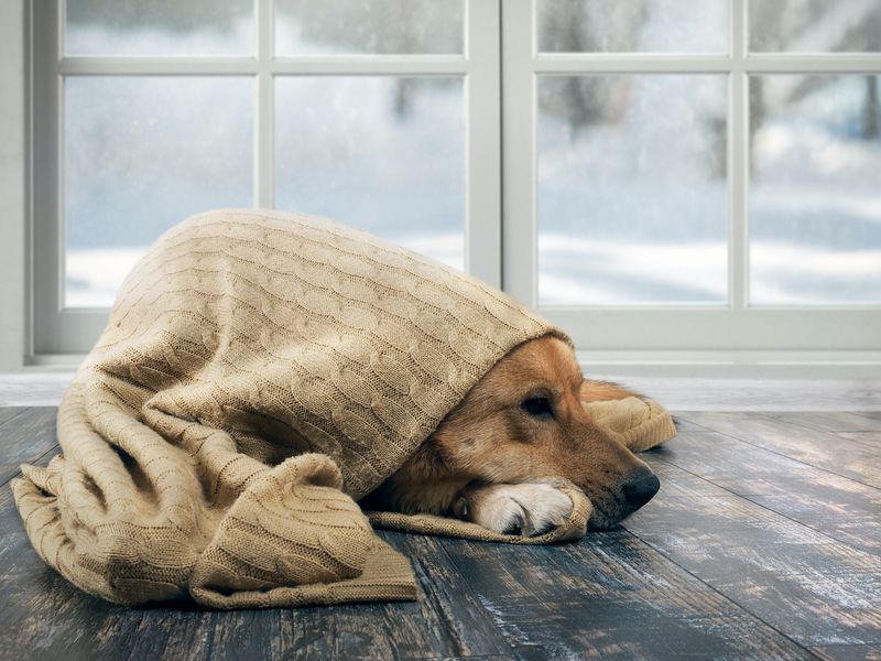 Watch for Signs of Hypothermia and Frostbite