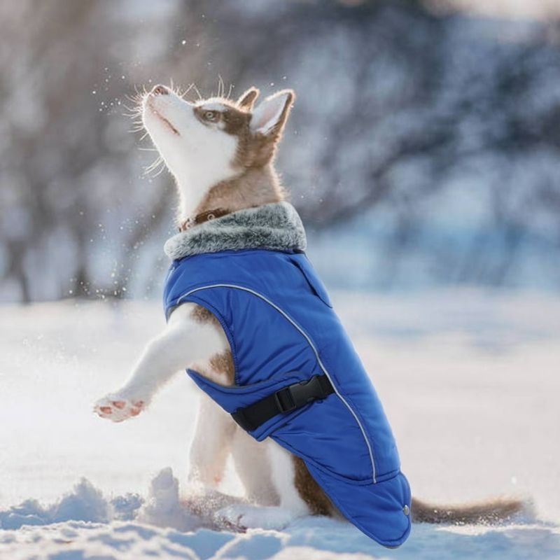 Use a Proper Winter Coat or Sweater