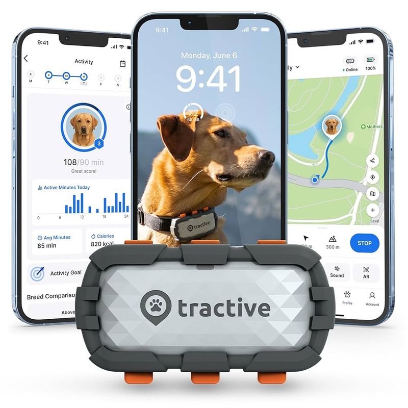 Tractive GPS Tracker