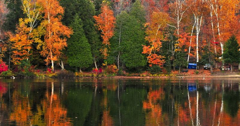 Finger Lakes, New York - Lakeside Autumn Magic