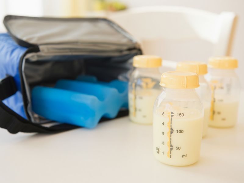 Insulated Cooler Bag Plus Ice Packs for Baby Items
