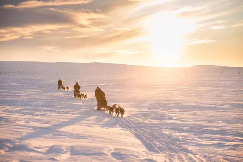 Arctic Expeditions and Northern Lights Chasing