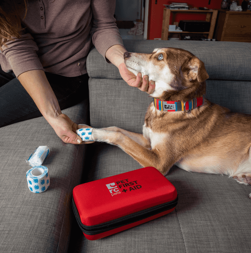 RC Pets Pocket Pet First Aid Kit