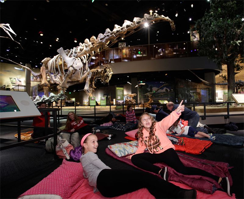 Sleepovers at Museums