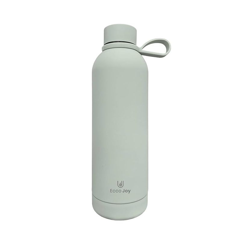 Insulated Water Bottle
