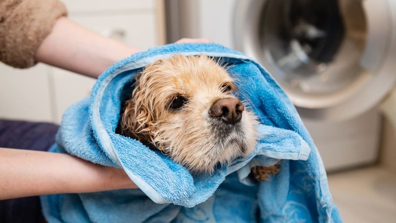 Pack Extra Towels and Blankets