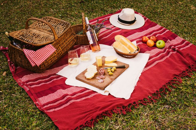Insulated Picnic Blanket