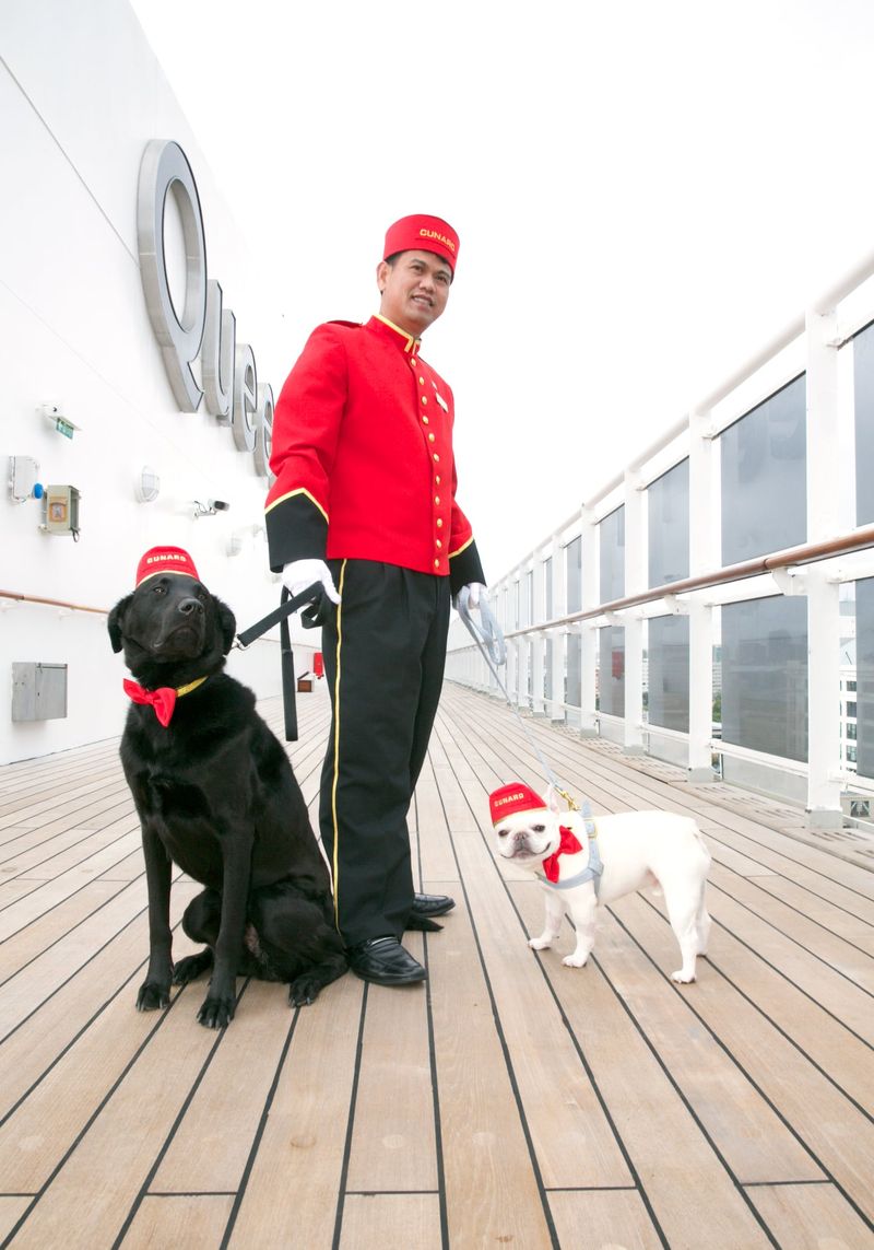 Cunard — Yes, you can bring your dog (on one ship)