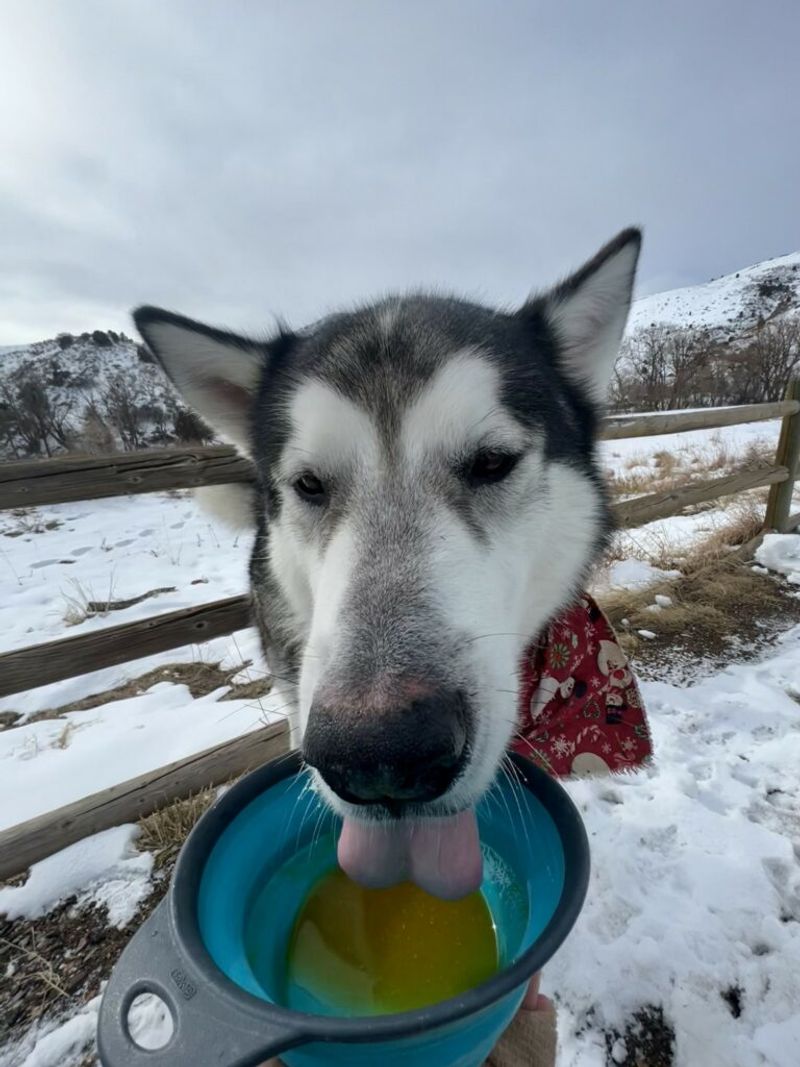 Keep Them Hydrated