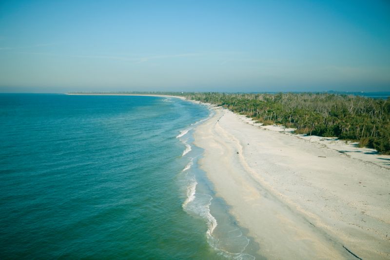 Cayo Costa (near Boca Grande/Pine Island Sound, Florida)