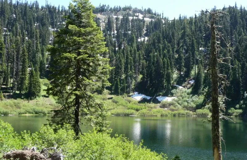 Adventure Through Pristine Wilderness Areas