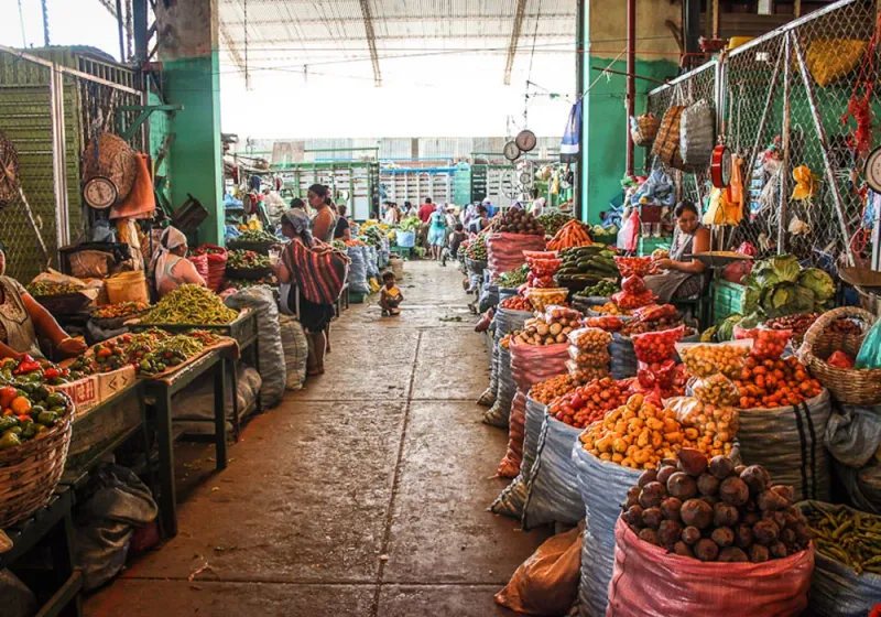 Local Markets at Dawn