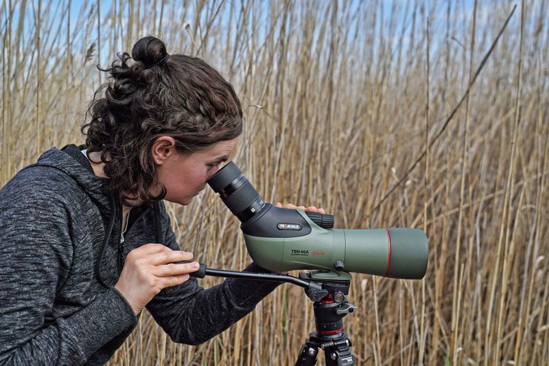 Kowa TSN-66A PROMINAR Spotting Scope: Exceptional Low-Light Clarity
